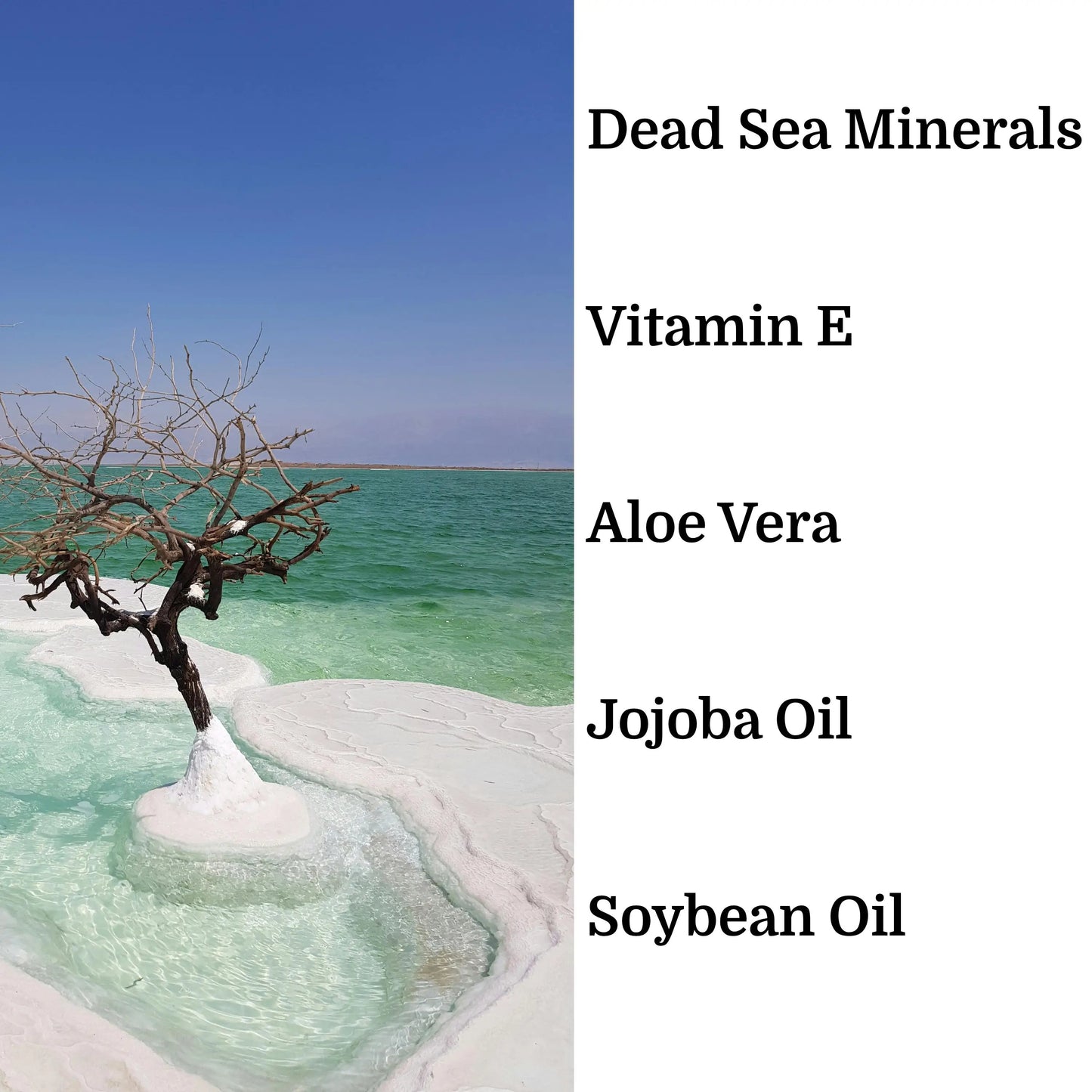 Dead Sea landscape promoting Day and Night Face Moisturizer Kit with Dead Sea Minerals, enriched with Vitamin E, Aloe Vera, Jojoba, and Soybean oils. Gift for her.